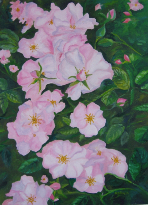 Giverny Roses