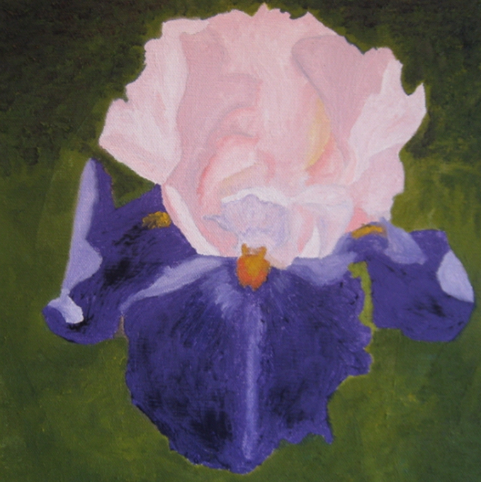 Iris