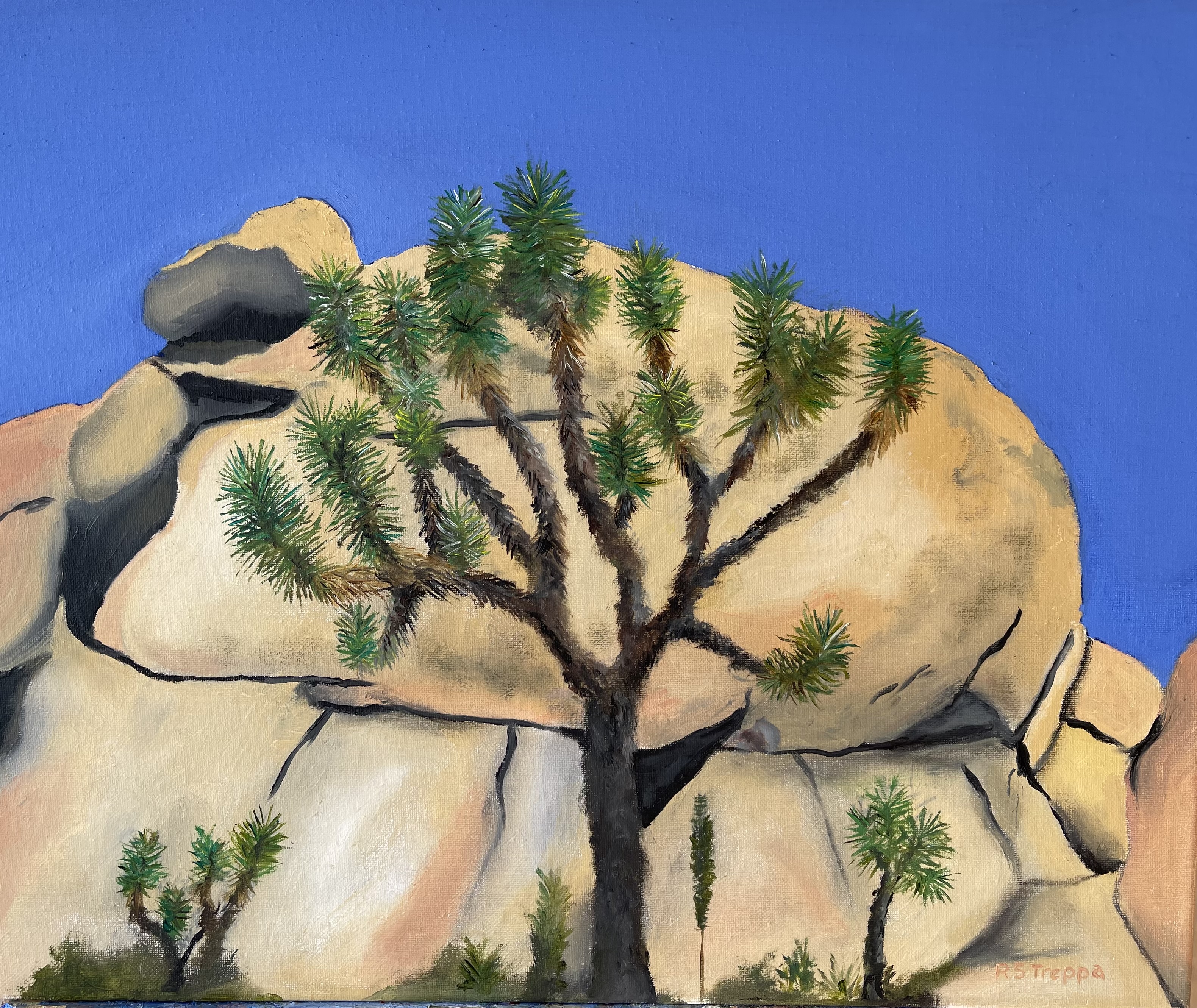 Joshua Tree